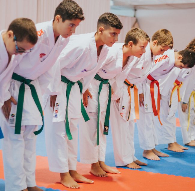 Disciplina no Karate