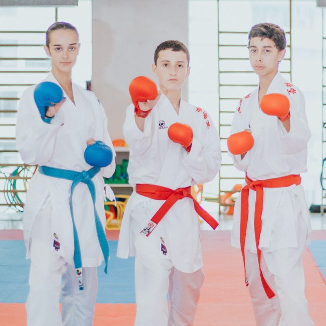 Concentração no Karate
